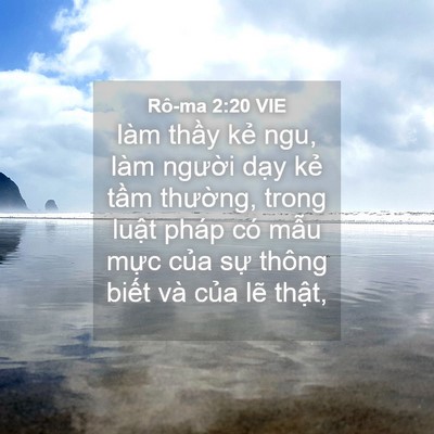 Picture 04 - Rô-ma 2:20 VIE - làm thầy kẻ ngu, làm người dạy kẻ - Bible Verse Picture