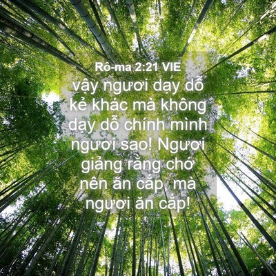 Picture 04 - Rô-ma 2:21 VIE - vậy ngươi dạy dỗ kẻ khác mà không - Bible Verse Picture