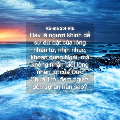 Picture 04 - Rô-ma 2:4 VIE - Hay là ngươi khinh dể sự dư dật của - Bible Verse Picture
