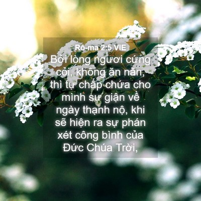 Picture 04 - Rô-ma 2:5 VIE - Bởi lòng ngươi cứng cỏi, không ăn - Bible Verse Picture