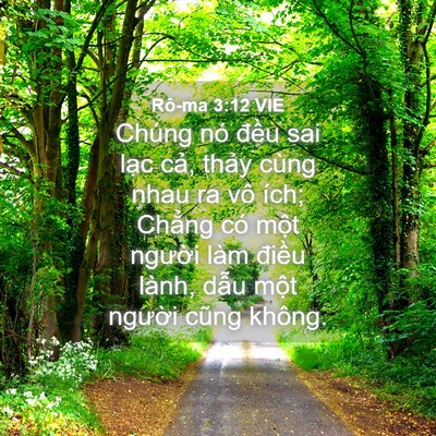 Picture 04 - Rô-ma 3:12 VIE - Chúng nó đều sai lạc cả, thảy cùng - Bible Verse Picture