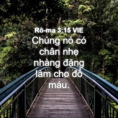 Picture 04 - Rô-ma 3:15 VIE - Chúng nó có chân nhẹ nhàng đặng làm - Bible Verse Picture