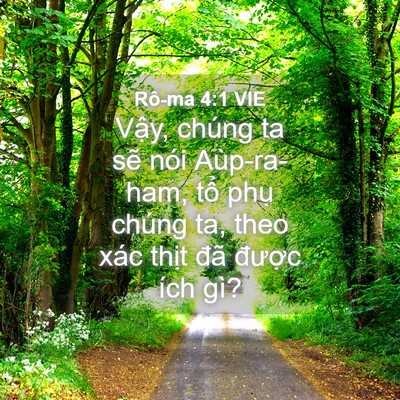 Picture 04 - Rô-ma 4:1 VIE - Vậy, chúng ta sẽ nói Aùp-ra-ham, tổ - Bible Verse Picture