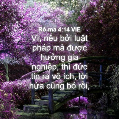 Picture 04 - Rô-ma 4:14 VIE - Vì, nếu bởi luật pháp mà được - Bible Verse Picture