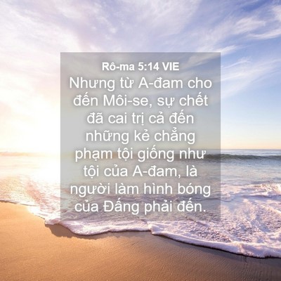 Picture 04 - Rô-ma 5:14 VIE - Nhưng từ A-đam cho đến Môi-se, sự - Bible Verse Picture