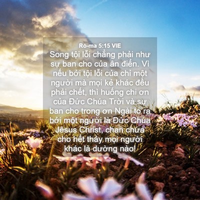 Picture 04 - Rô-ma 5:15 VIE - Song tội lỗi chẳng phải như sự ban cho - Bible Verse Picture