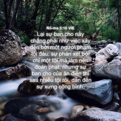 Picture 04 - Rô-ma 5:16 VIE - Lại sự ban cho nầy chẳng phải như - Bible Verse Picture