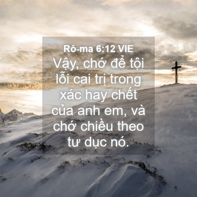 Picture 04 - Rô-ma 6:12 VIE - Vậy, chớ để tội lỗi cai trị trong - Bible Verse Picture