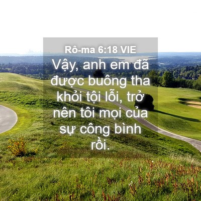 Picture 04 - Rô-ma 6:18 VIE - Vậy, anh em đã được buông tha khỏi - Bible Verse Picture