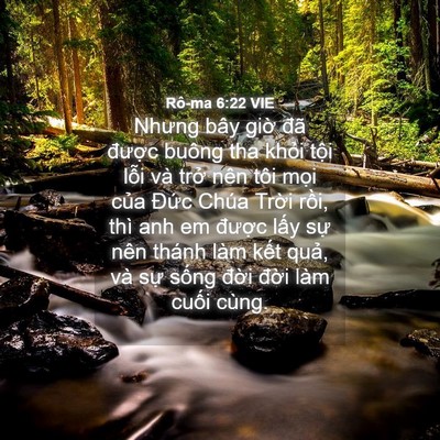 Picture 04 - Rô-ma 6:22 VIE - Nhưng bây giờ đã được buông tha khỏi - Bible Verse Picture