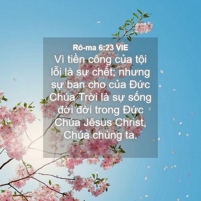 Picture 04 - Rô-ma 6:23 VIE - Vì tiền công của tội lỗi là sự - Bible Verse Picture
