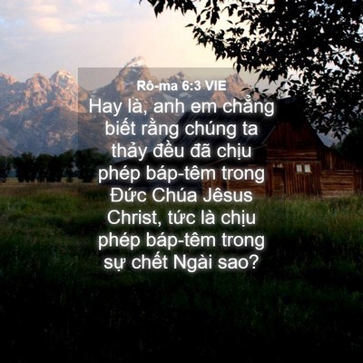 Picture 04 - Rô-ma 6:3 VIE - Hay là, anh em chẳng biết rằng chúng ta - Bible Verse Picture