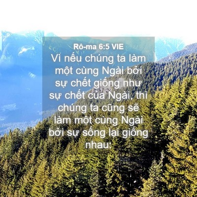 Picture 04 - Rô-ma 6:5 VIE - Vì nếu chúng ta làm một cùng Ngài bởi - Bible Verse Picture