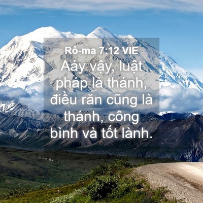 Picture 04 - Rô-ma 7:12 VIE - Aáy vậy, luật pháp là thánh, điều răn - Bible Verse Picture