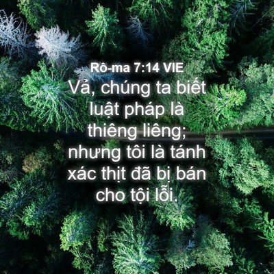 Picture 04 - Rô-ma 7:14 VIE - Vả, chúng ta biết luật pháp là thiêng - Bible Verse Picture