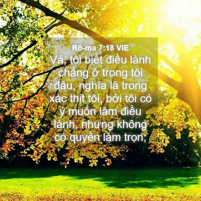 Picture 04 - Rô-ma 7:18 VIE - Vả, tôi biết điều lành chẳng ở trong - Bible Verse Picture