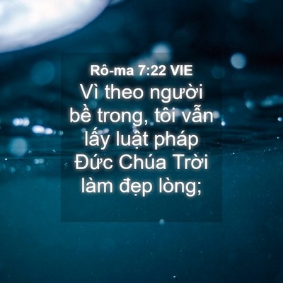 Picture 04 - Rô-ma 7:22 VIE - Vì theo người bề trong, tôi vẫn lấy - Bible Verse Picture