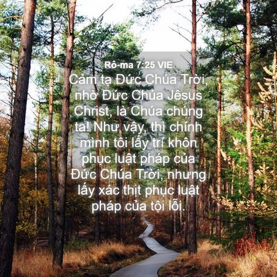 Picture 04 - Rô-ma 7:25 VIE - Cảm tạ Đức Chúa Trời, nhờ Đức - Bible Verse Picture