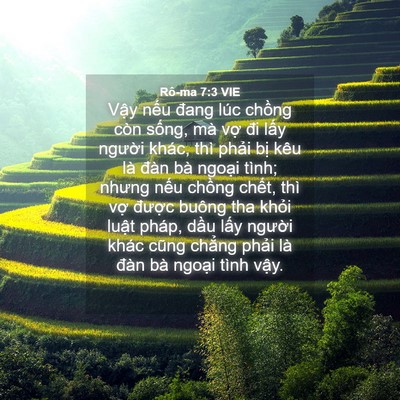 Picture 04 - Rô-ma 7:3 VIE - Vậy nếu đang lúc chồng còn sống, mà - Bible Verse Picture