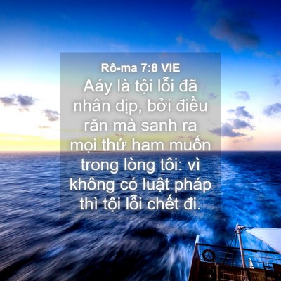 Picture 04 - Rô-ma 7:8 VIE - Aáy là tội lỗi đã nhân dịp, bởi - Bible Verse Picture