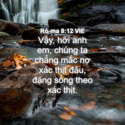 Picture 04 - Rô-ma 8:12 VIE - Vậy, hỡi anh em, chúng ta chẳng mắc nợ - Bible Verse Picture