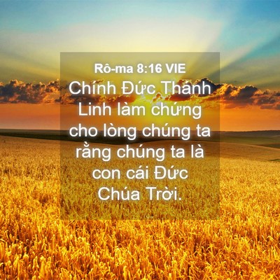 Picture 04 - Rô-ma 8:16 VIE - Chính Đức Thánh Linh làm chứng cho lòng - Bible Verse Picture