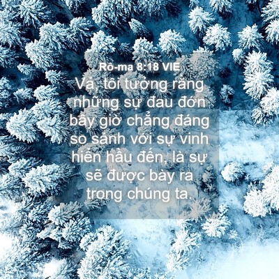 Picture 04 - Rô-ma 8:18 VIE - Vả, tôi tưởng rằng những sự đau - Bible Verse Picture