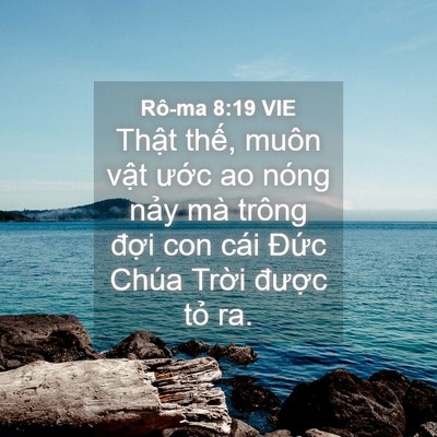 Picture 04 - Rô-ma 8:19 VIE - Thật thế, muôn vật ước ao nóng nảy - Bible Verse Picture
