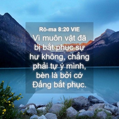 Picture 04 - Rô-ma 8:20 VIE - Vì muôn vật đã bị bắt phục sự hư - Bible Verse Picture