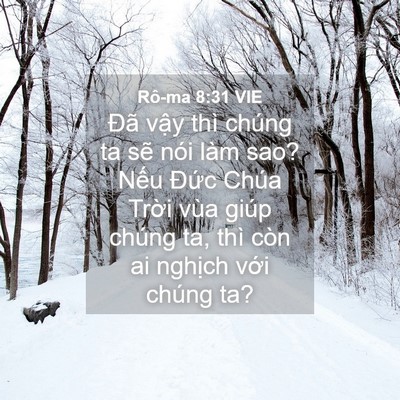 Picture 04 - Rô-ma 8:31 VIE - Đã vậy thì chúng ta sẽ nói làm sao? - Bible Verse Picture