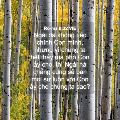 Picture 04 - Rô-ma 8:32 VIE - Ngài đã không tiếc chính Con mình, nhưng - Bible Verse Picture