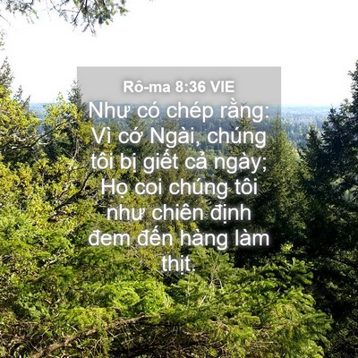 Picture 04 - Rô-ma 8:36 VIE - Như có chép rằng: Vì cớ Ngài, chúng - Bible Verse Picture