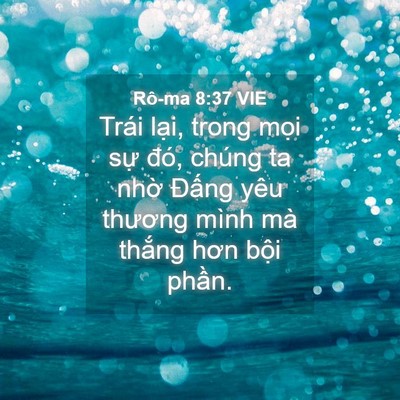 Picture 04 - Rô-ma 8:37 VIE - Trái lại, trong mọi sự đó, chúng ta - Bible Verse Picture