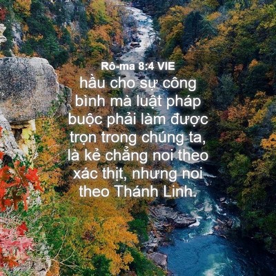 Picture 04 - Rô-ma 8:4 VIE - hầu cho sự công bình mà luật pháp - Bible Verse Picture