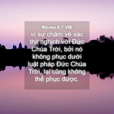 Picture 04 - Rô-ma 8:7 VIE - vì sự chăm về xác thịt nghịch với - Bible Verse Picture