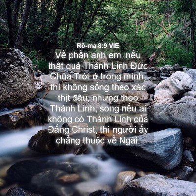 Picture 04 - Rô-ma 8:9 VIE - Về phần anh em, nếu thật quả Thánh - Bible Verse Picture