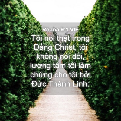 Picture 04 - Rô-ma 9:1 VIE - Tôi nói thật trong Đấng Christ, tôi - Bible Verse Picture