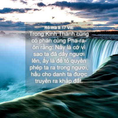 Picture 04 - Rô-ma 9:17 VIE - Trong Kinh Thánh cũng có phán cùng - Bible Verse Picture
