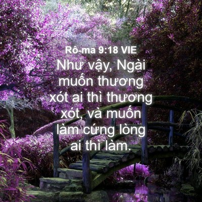 Picture 04 - Rô-ma 9:18 VIE - Như vậy, Ngài muốn thương xót ai thì - Bible Verse Picture