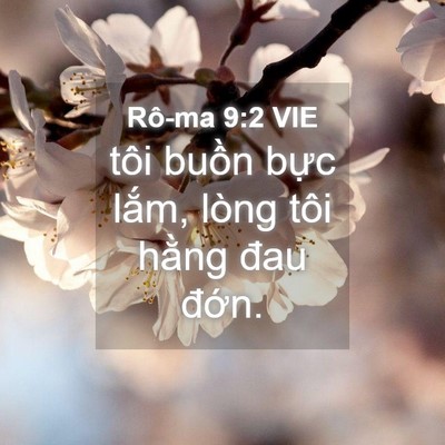 Picture 04 - Rô-ma 9:2 VIE - tôi buồn bực lắm, lòng tôi hằng đau - Bible Verse Picture