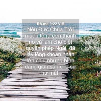 Picture 04 - Rô-ma 9:22 VIE - Nếu Đức Chúa Trời muốn tỏ ra cơn - Bible Verse Picture