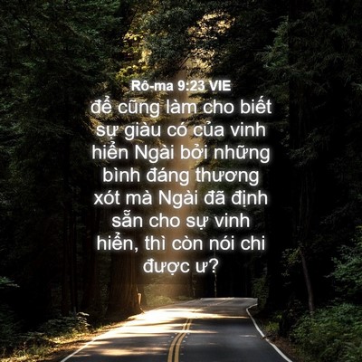 Picture 04 - Rô-ma 9:23 VIE - để cũng làm cho biết sự giàu có của - Bible Verse Picture