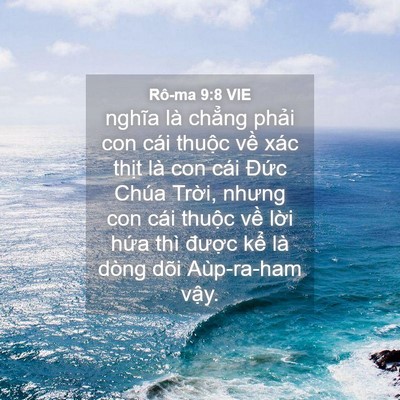 Picture 04 - Rô-ma 9:8 VIE - nghĩa là chẳng phải con cái thuộc về - Bible Verse Picture