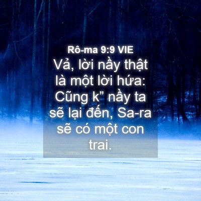 Picture 04 - Rô-ma 9:9 VIE - Vả, lời nầy thật là một lời hứa: - Bible Verse Picture