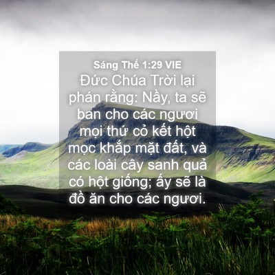 Picture 04 - Sáng Thế 1:29 VIE - Đức Chúa Trời lại phán rằng: Nầy, ta - Bible Verse Picture