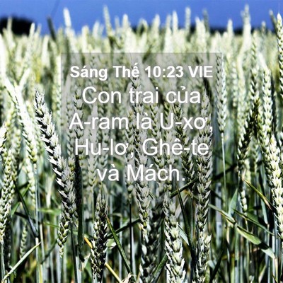 Picture 04 - Sáng Thế 10:23 VIE - Con trai của A-ram là U-xơ, Hu-lơ, Ghê-te - Bible Verse Picture