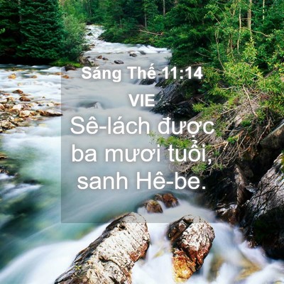 Picture 04 - Sáng Thế 11:14 VIE - Sê-lách được ba mươi tuổi, sanh - Bible Verse Picture