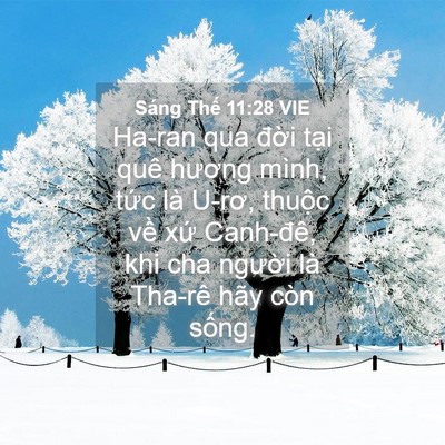Picture 04 - Sáng Thế 11:28 VIE - Ha-ran qua đời tại quê hương mình, tức - Bible Verse Picture
