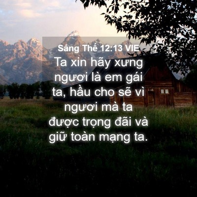 Picture 04 - Sáng Thế 12:13 VIE - Ta xin hãy xưng ngươi là em gái ta, hầu - Bible Verse Picture