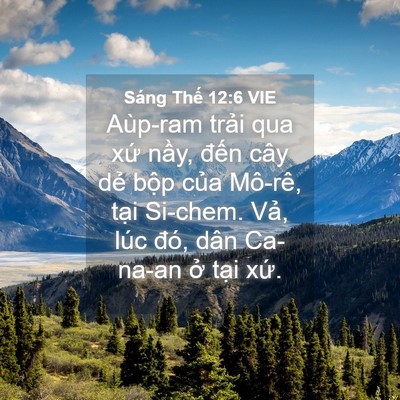 Picture 04 - Sáng Thế 12:6 VIE - Aùp-ram trải qua xứ nầy, đến cây dẻ - Bible Verse Picture
